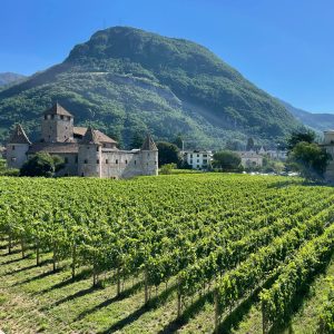 Beautiful landscape of vineyards and Maretsch Castle set against lush mountains in Bozen, Italy.