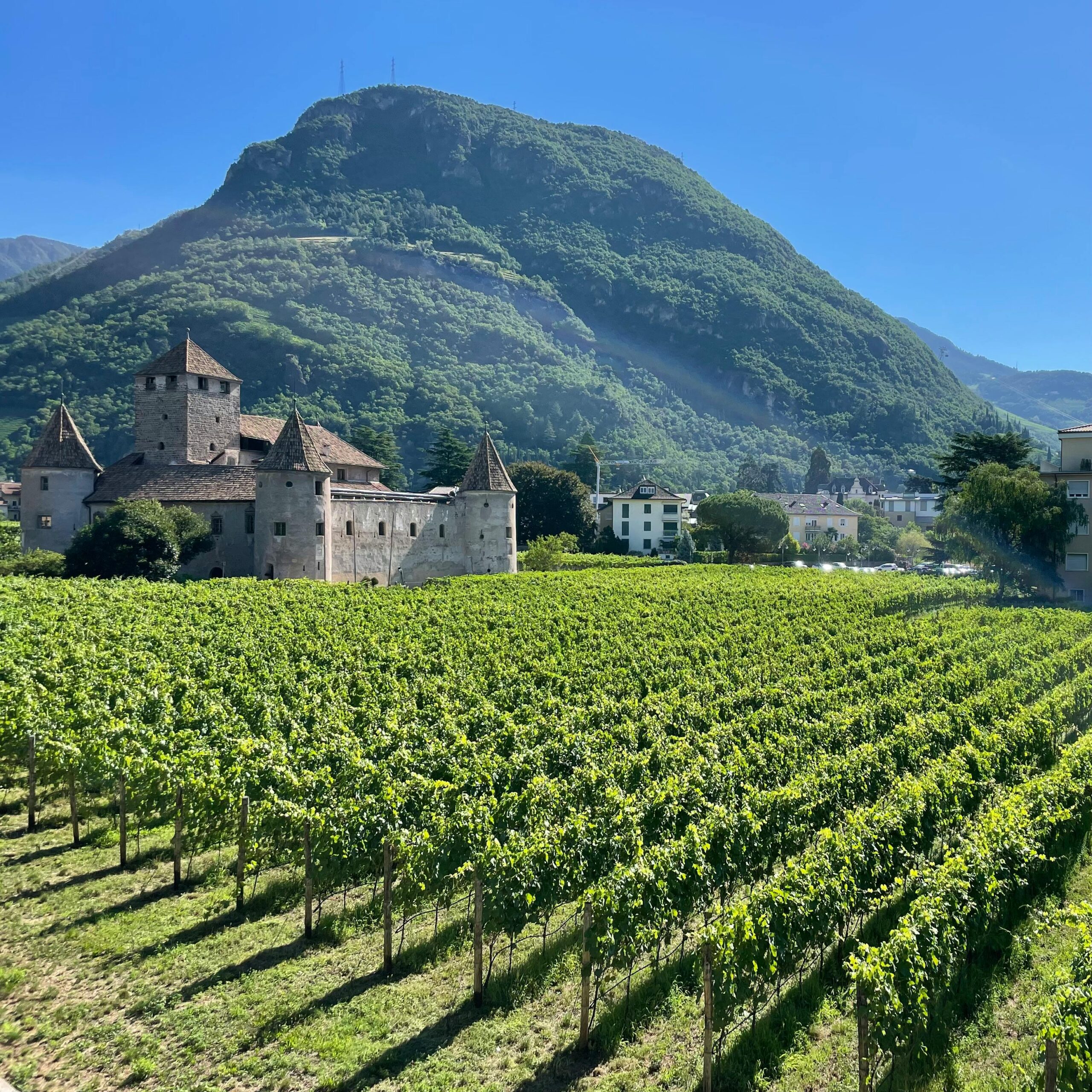 Beautiful landscape of vineyards and Maretsch Castle set against lush mountains in Bozen, Italy.